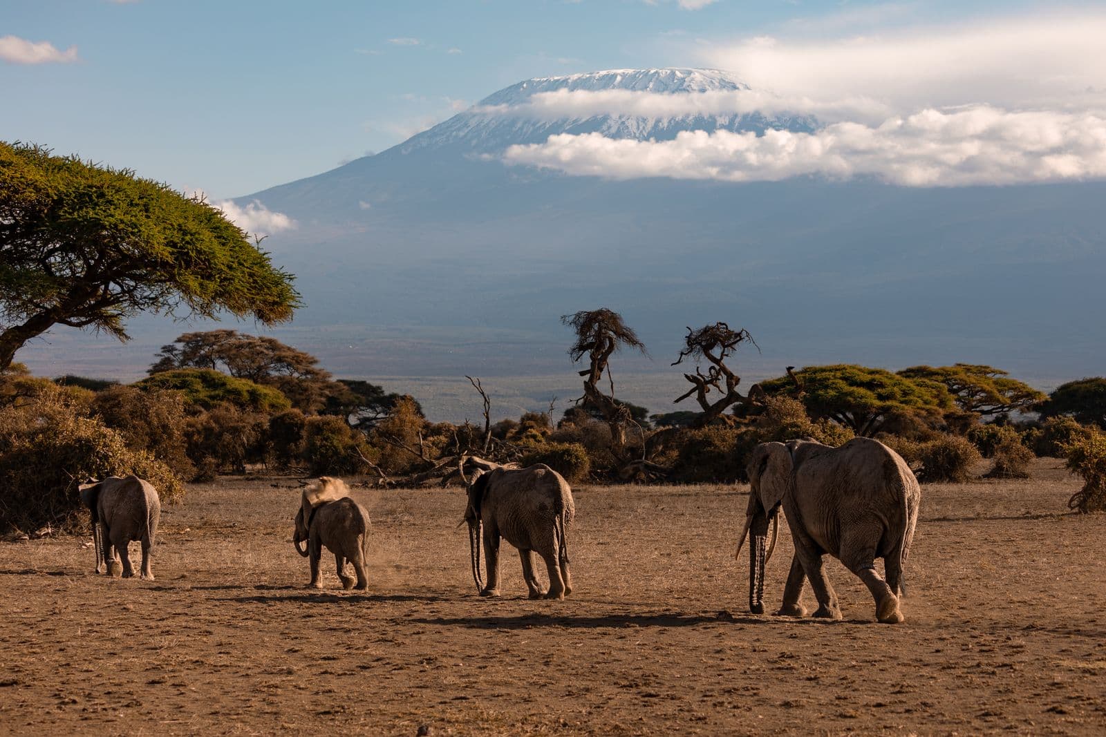 3-Day Amboseli and Kilimanjaro Views