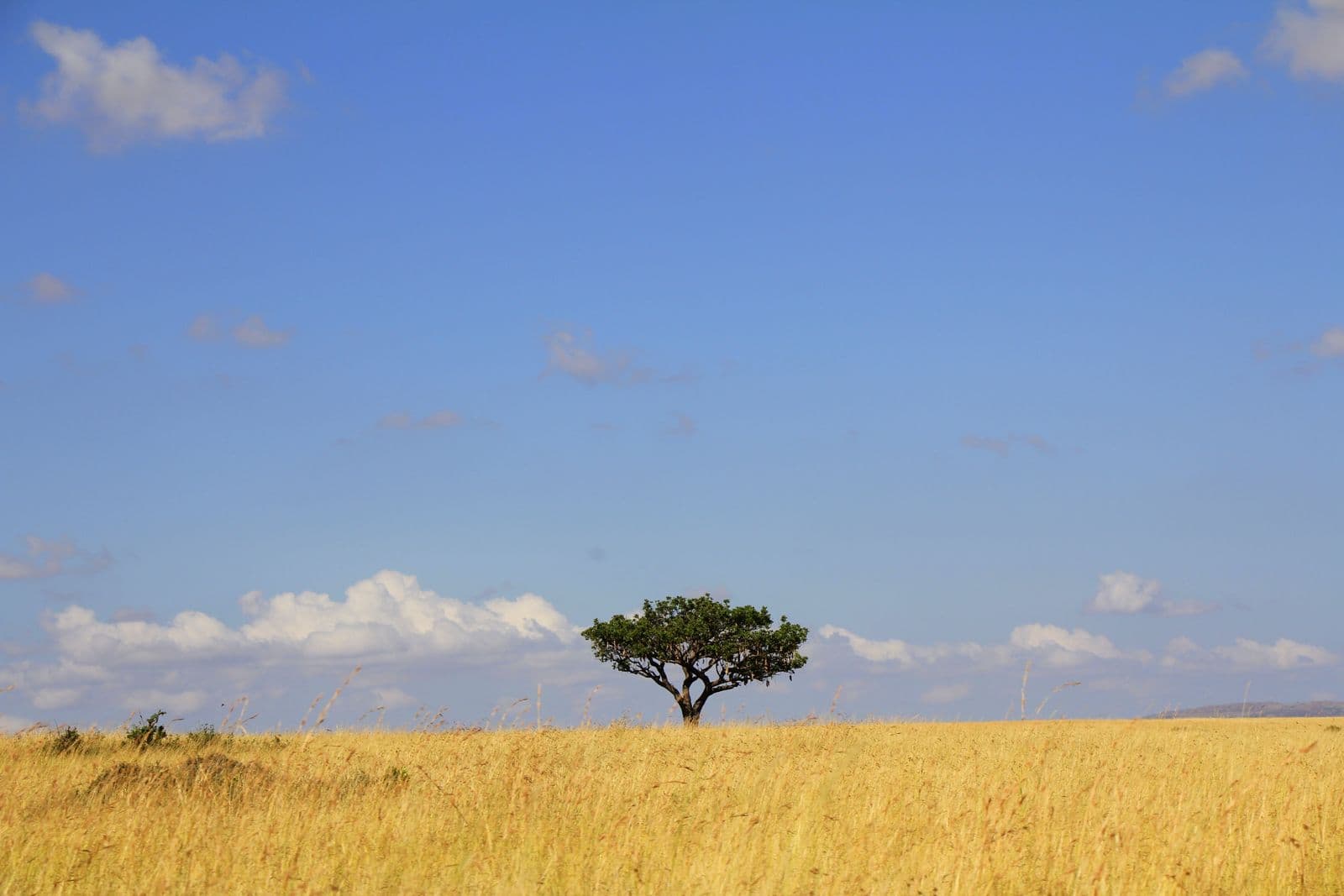6-Day Classic Kenya Circuit